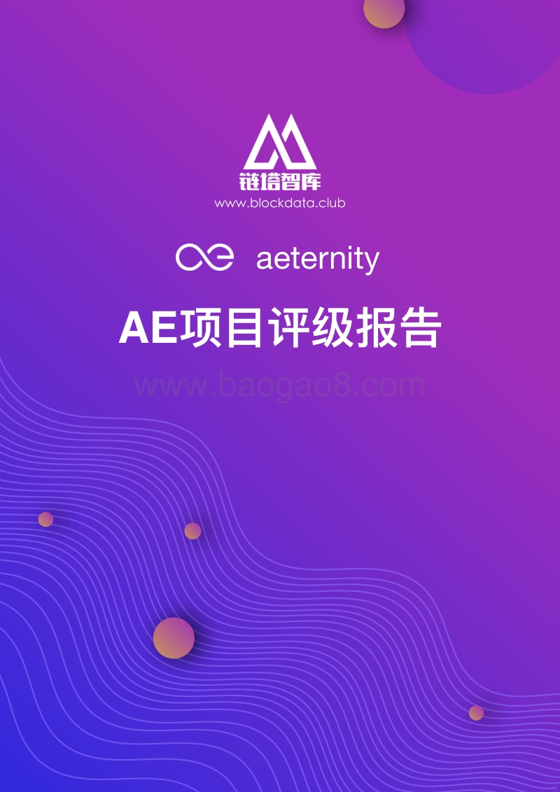 AE项目评级报告.pdf_第1页