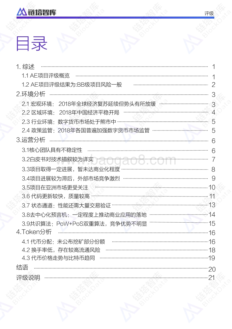 AE项目评级报告.pdf_第2页