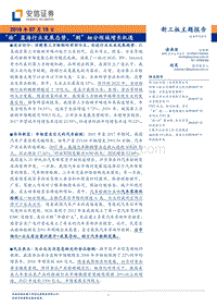 “检”蓝海行业发展态势，“测”细分领域增长机遇.pdf