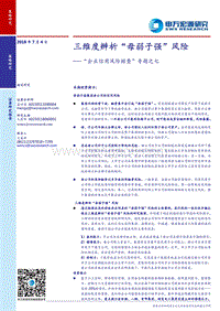 “企业信用风险排查”专题之七：三维度辨析“母弱子强”风险.pdf