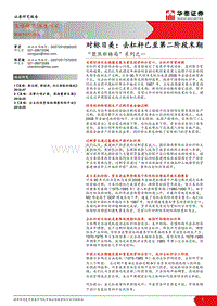 “聚焦新格局”系列之一：对标日美：去杠杆已至第二阶段末期.pdf