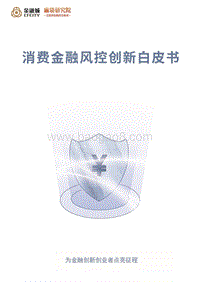 《消费金融风控创新白皮书》.pdf