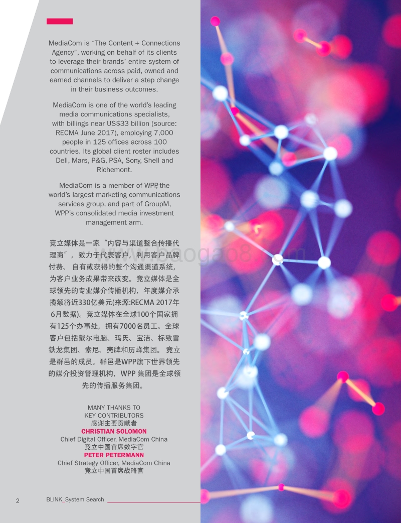 系统化搜索.pdf_第2页