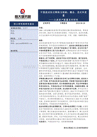 大类资产配置系列研究：中国流动性过剩转为短缺：概念、层次和度量.pdf