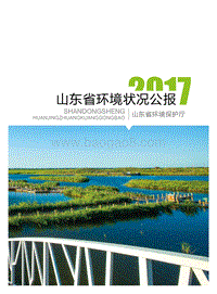 2017山东省环境状况公报.pdf