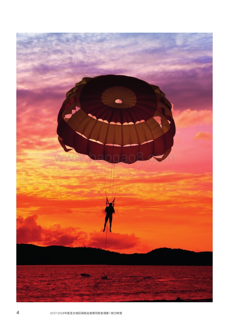 2017-2018年度亚太地区保险业首席风险官调查.pdf_第4页