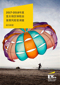 2017-2018年度亚太地区保险业首席风险官调查.pdf