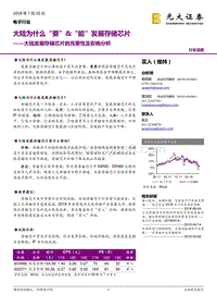 大陆发展存储芯片的充要性及影响分析：大陆为什么“要”&“能”发展存储芯片.pdf