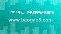 2018年五一小长假市场调研报告.pptx
