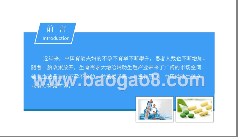 2018中国辅助生殖行业市场前景研究报告.pptx_第2页