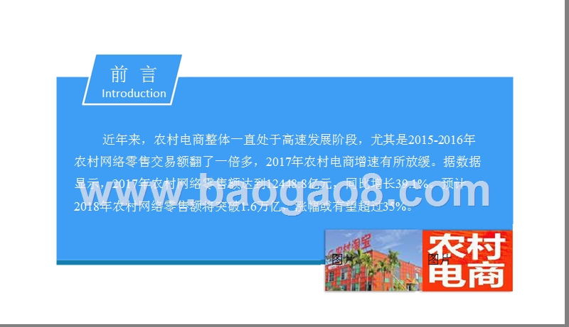 2018中国农村电商行业市场前景研究报告.pptx_第2页