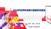 2018年世界杯消费大数据研究报告.pptx