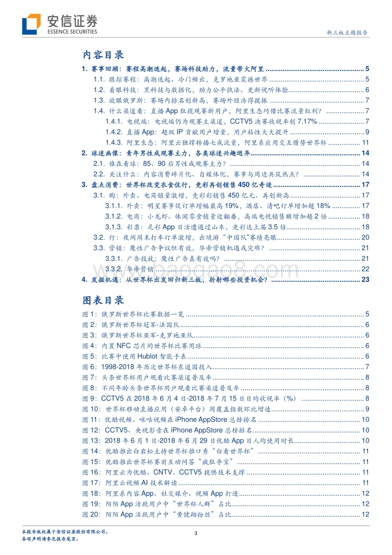 世界杯系列专题三：盘点世界杯流量红利，探寻消费投资路径.pdf_第3页