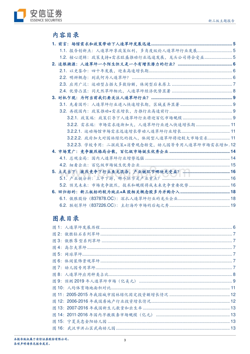 人造草坪迎“天然‛发展契机，高增速市场或诞生优秀企业？.pdf_第3页