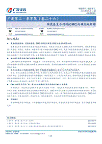 陶瓷基复合材料（CMC）与碳化硅纤维.pdf