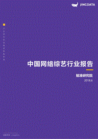 中国网络综艺行业报告.pdf