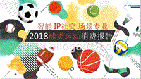 2018球类运动消费报告.pptx