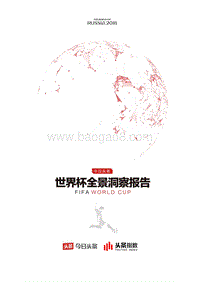 世界杯全景洞察报告.pdf