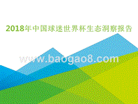 2018年中国球迷世界杯生态洞察报告.pptx