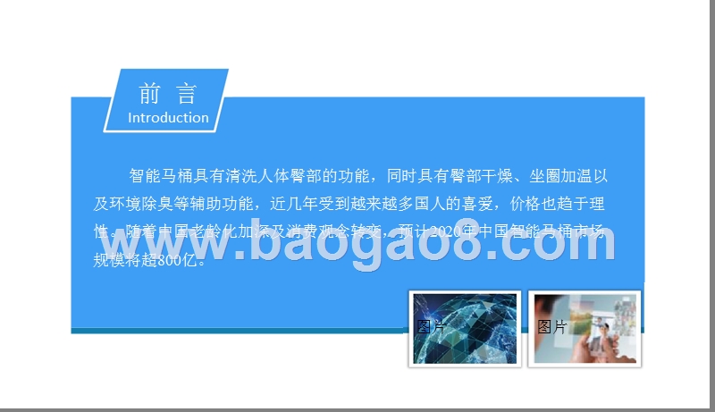 2018中国智能马桶行业市场前景研究报告.pptx_第2页