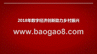2018年数字经济创新助力乡村振兴.pptx