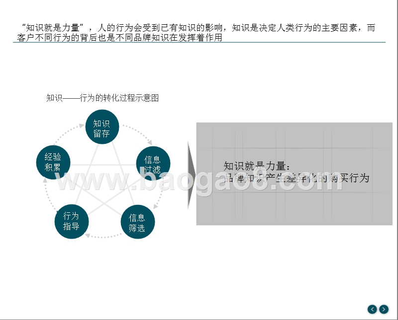 2018中国汽车行业品牌力研究报告.pptx_第5页