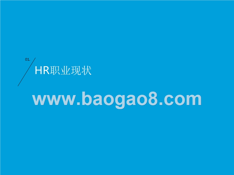 中国HR职场进阶研究报告.pptx_第4页