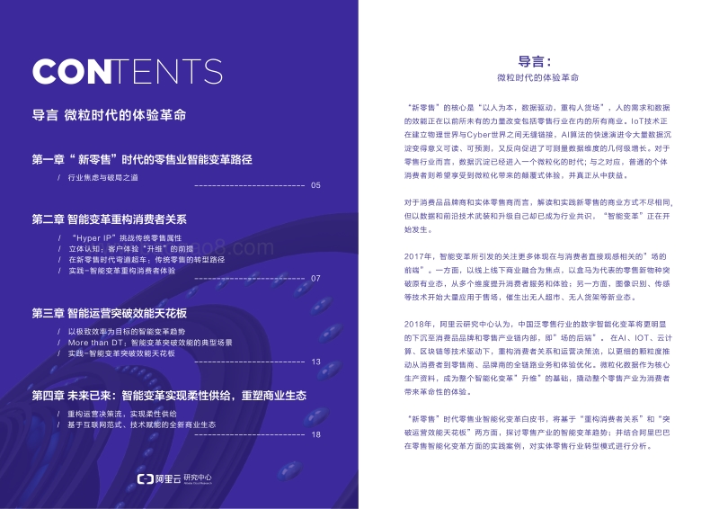 AI时代零售业的智能变革.pdf_第3页