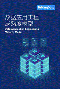 数据应用工程成熟度模型.pdf