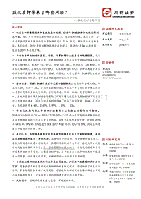股权质押专题研究：股权质押带来了哪些风险？.pdf