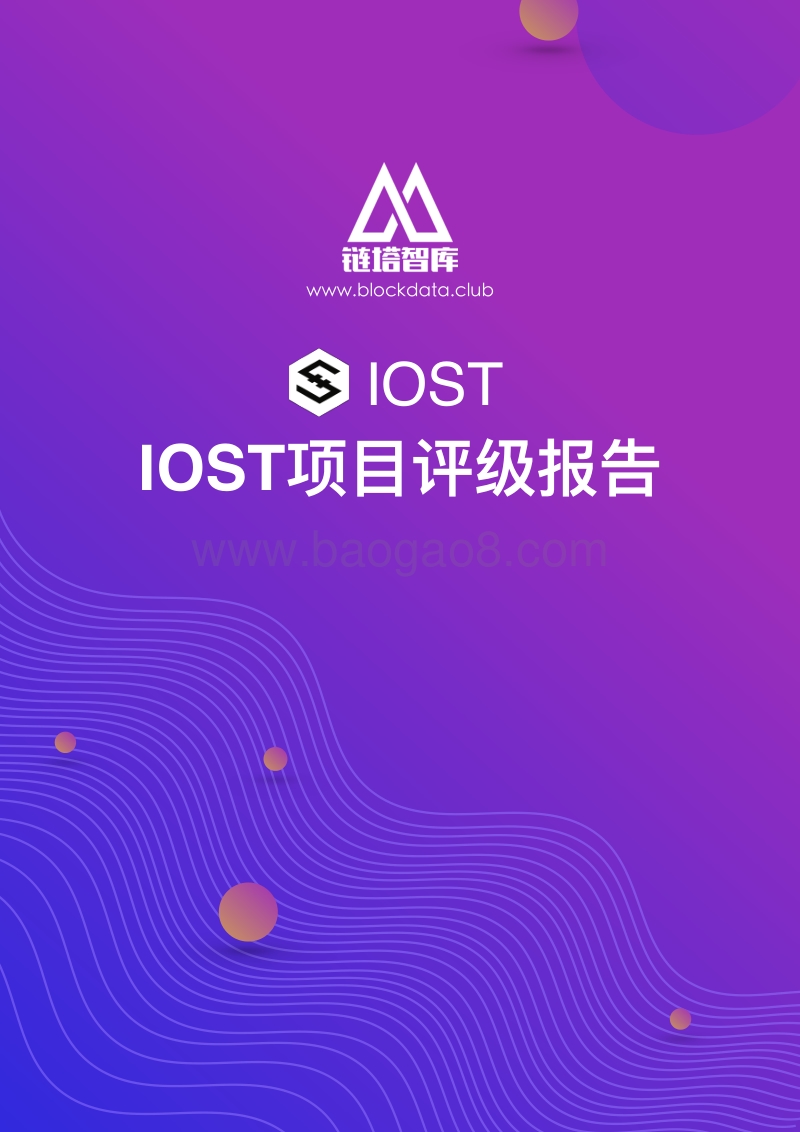 IOST项目评级报告.pdf_第1页