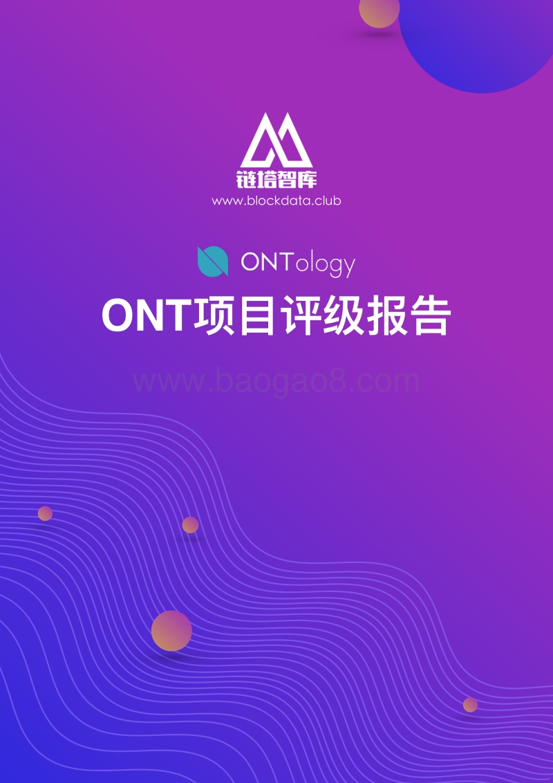 ONT项目评级报告.pdf_第1页