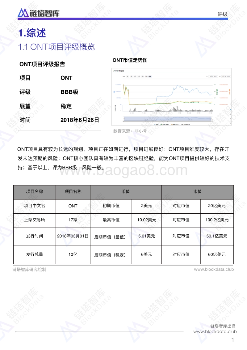 ONT项目评级报告.pdf_第3页