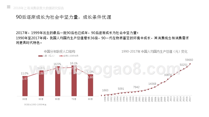 2018上海消费新贵大数据研究报告.pptx_第5页