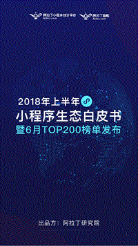 2018年上半年小程序生态白皮书.pdf