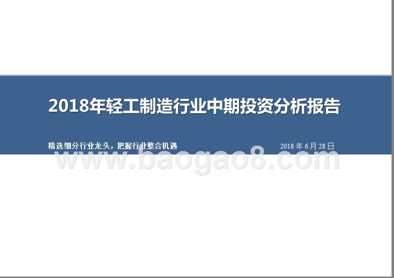 2018年轻工制造行业中期投资分析报告.pptx_第1页