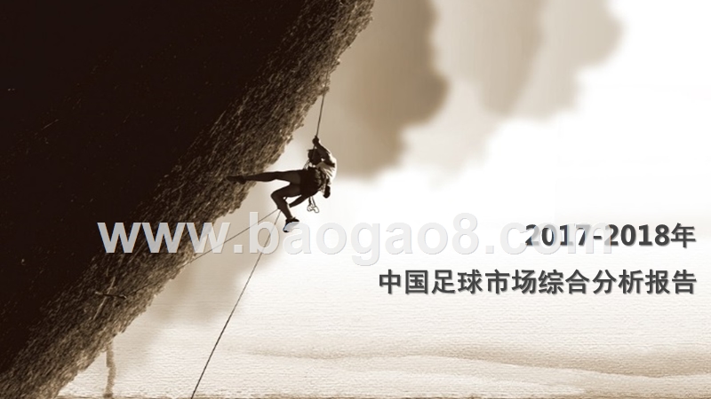 2017-2018年中国足球市场综合分析报告.pptx_第2页