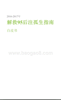 2016-2017年解救95后注孤生指南白皮书.pptx
