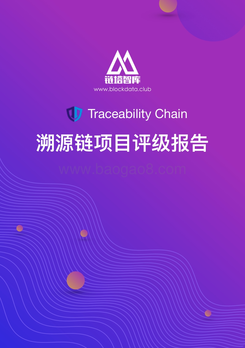 溯源链项目评级报告.pdf_第1页