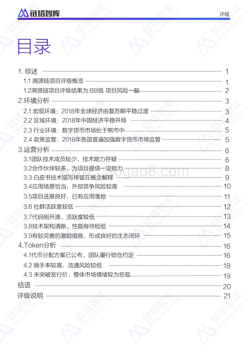 溯源链项目评级报告.pdf_第2页
