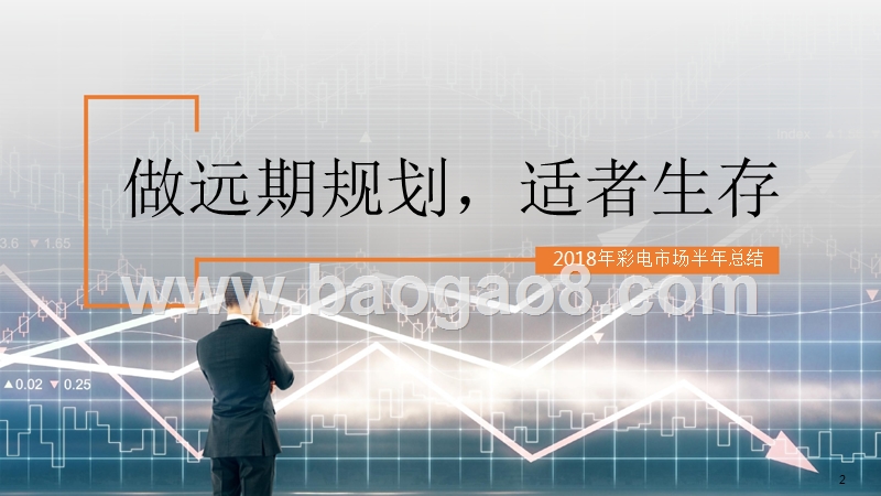2018年上半年彩电市场总结报告.pptx_第2页