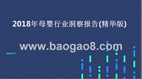 2018年母婴行业洞察报告(精华版).pptx