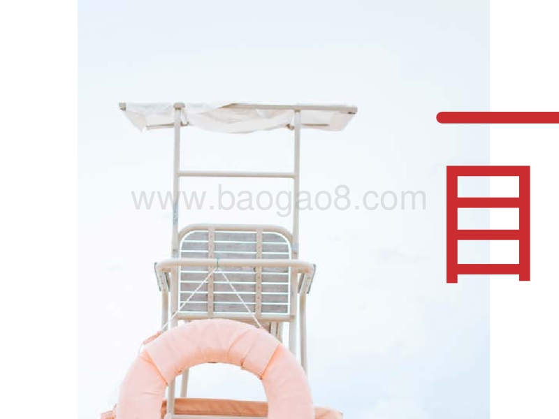 2018年中国游客境外旅游调查报告.pptx_第2页