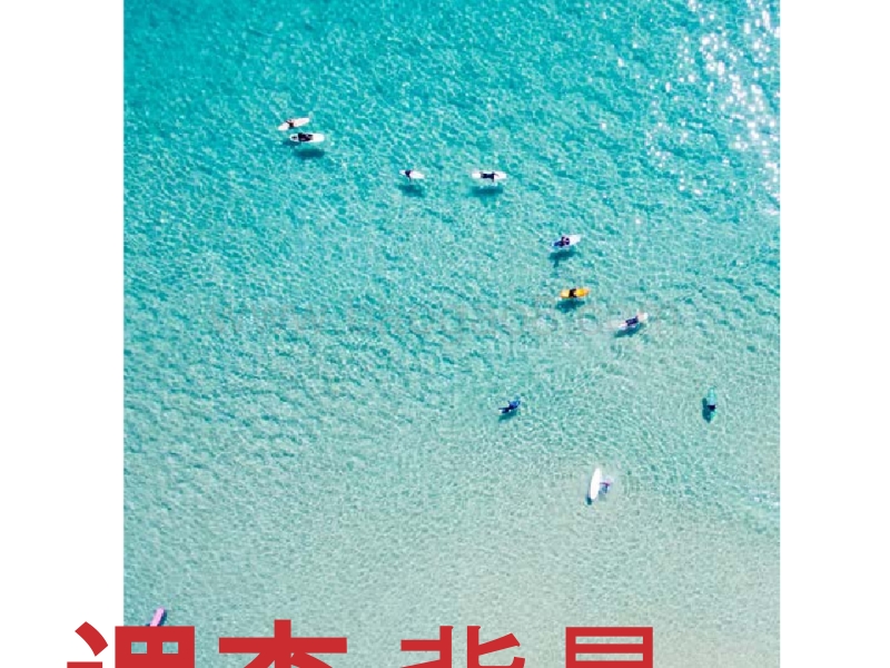 2018年中国游客境外旅游调查报告.pptx_第4页