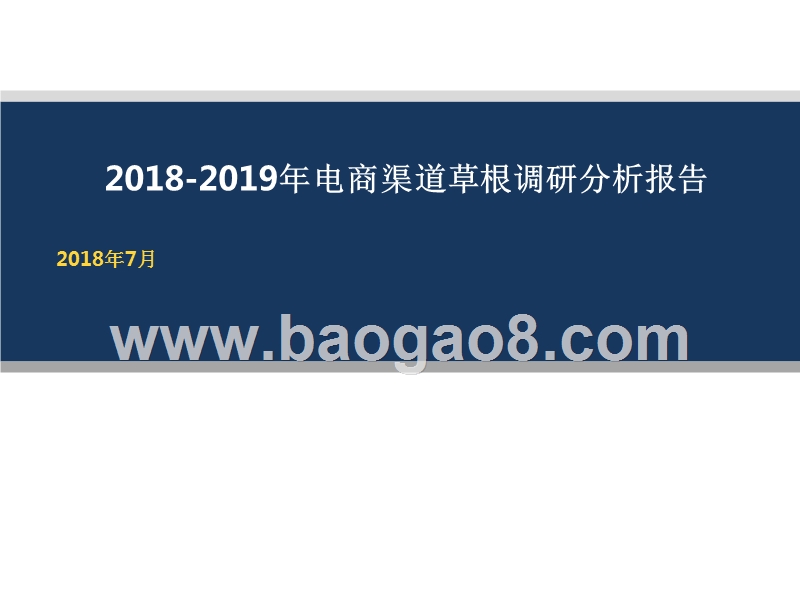 2018-2019年电商渠道草根调研分析报告.pptx_第1页