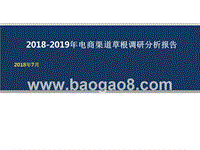 2018-2019年电商渠道草根调研分析报告.pptx
