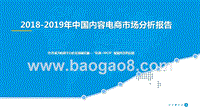 2018-2019年中国内容电商市场分析报告.pptx