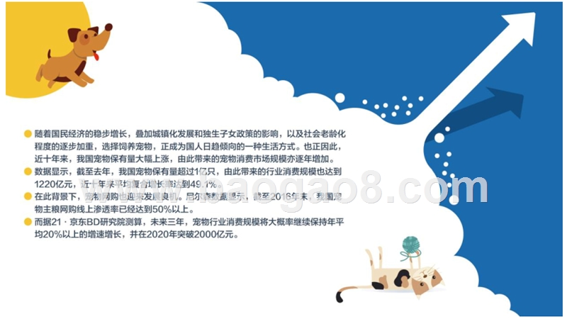 2017-2018年宠物消费趋势洞察报告.pptx_第2页