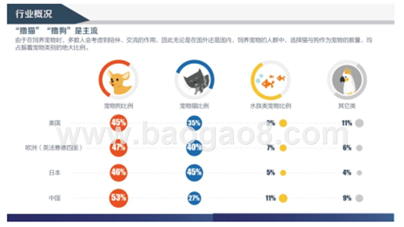 2017-2018年宠物消费趋势洞察报告.pptx_第4页