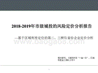 2018-2019年市级城投的风险定价分析报告.pptx